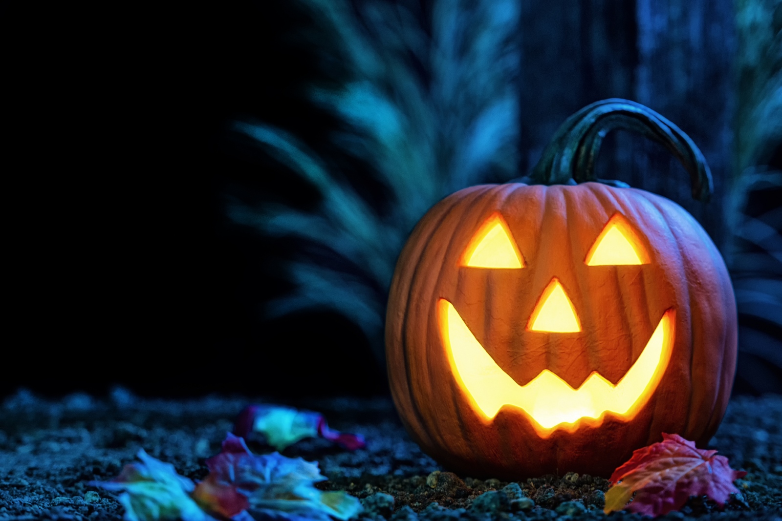 5 meglepő dolog, amit nem biztos hogy tudsz a halloweenről | Kölöknet