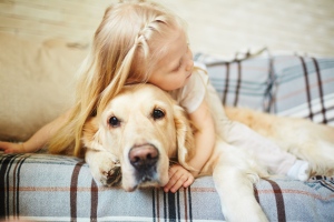 Vizsla, border collie, retriever, beagle – Melyik családi kutya szimata jobb?