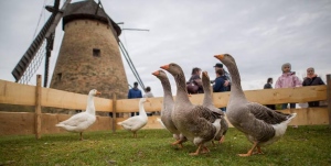 Program gyerekkel: Libator a Skanzenben mesékkel, koncertekkel, kézműveskedéssel